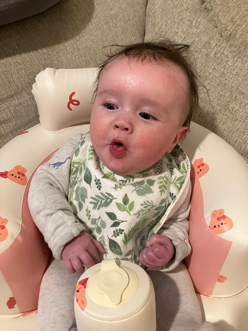 Magnetic "Easy-Off" Sage Floral Bib
