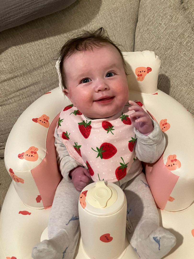 Magnetic "Easy-Off" Strawberry Bib
