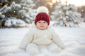 Cranberry beanie baby in snow