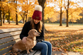 Cranberry NBPT beanie adult on park bench in autumn with blonde dachshund